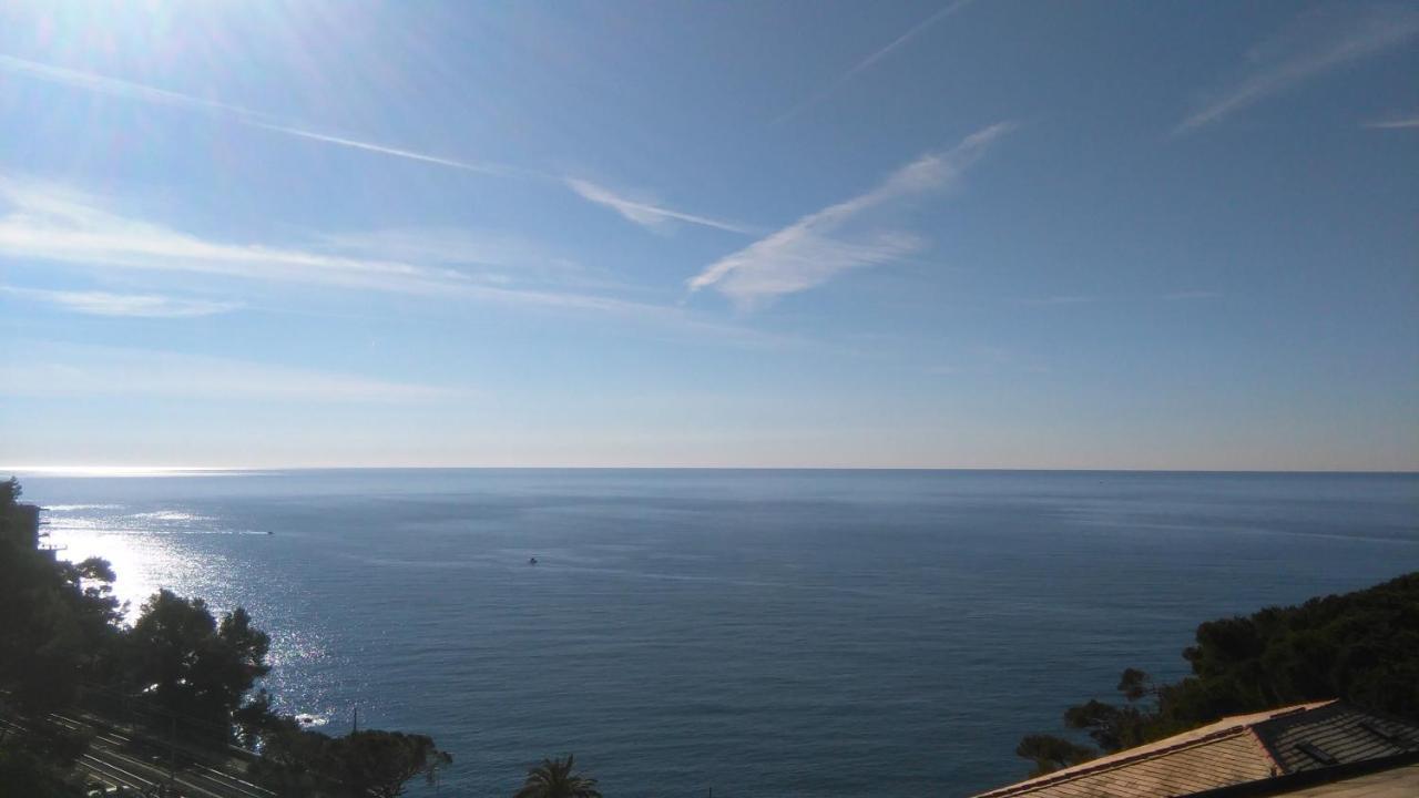 Mare E Vista Portofino - Sea And Portofino View ゾアーリ エクステリア 写真