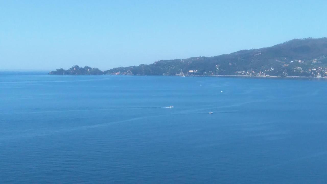 Mare E Vista Portofino - Sea And Portofino View ゾアーリ エクステリア 写真