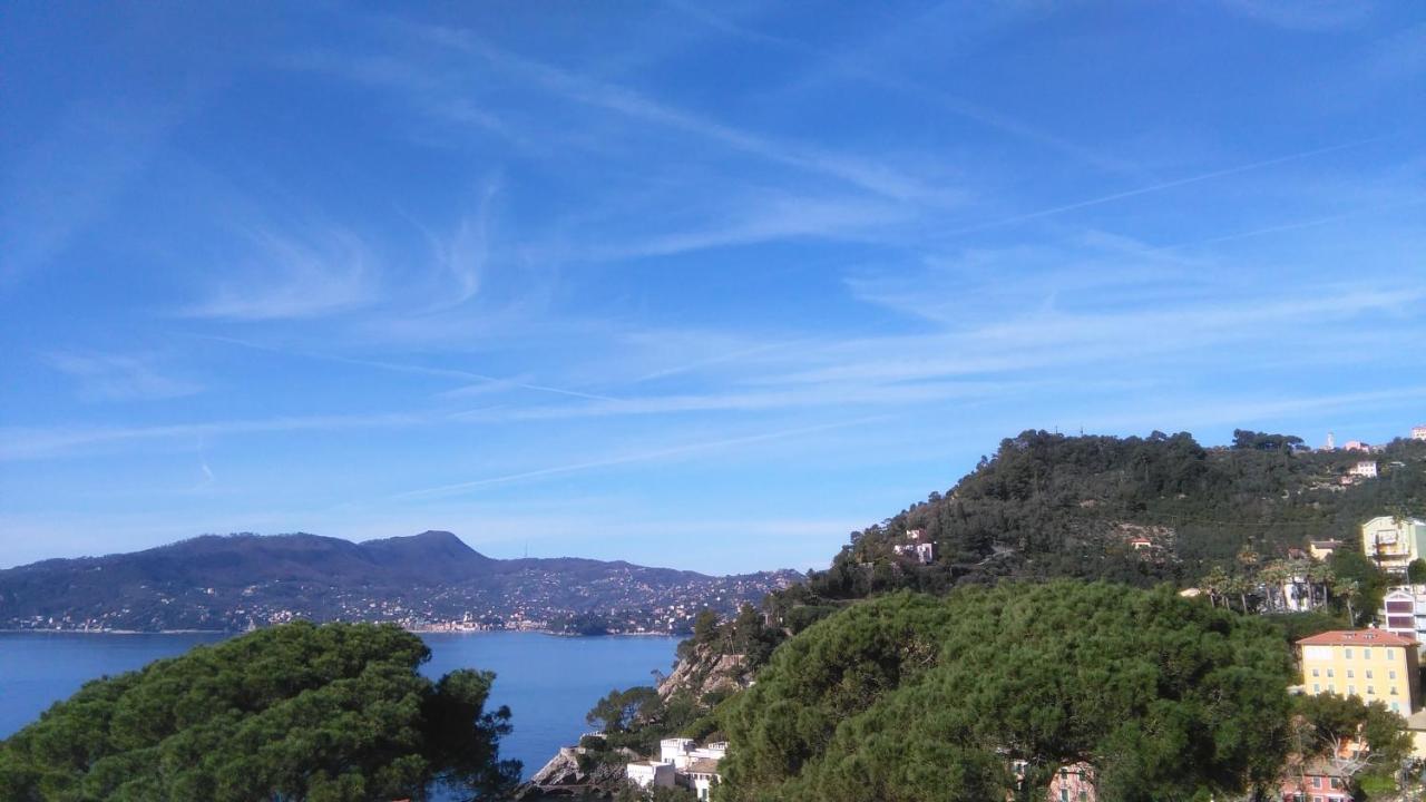 Mare E Vista Portofino - Sea And Portofino View ゾアーリ エクステリア 写真