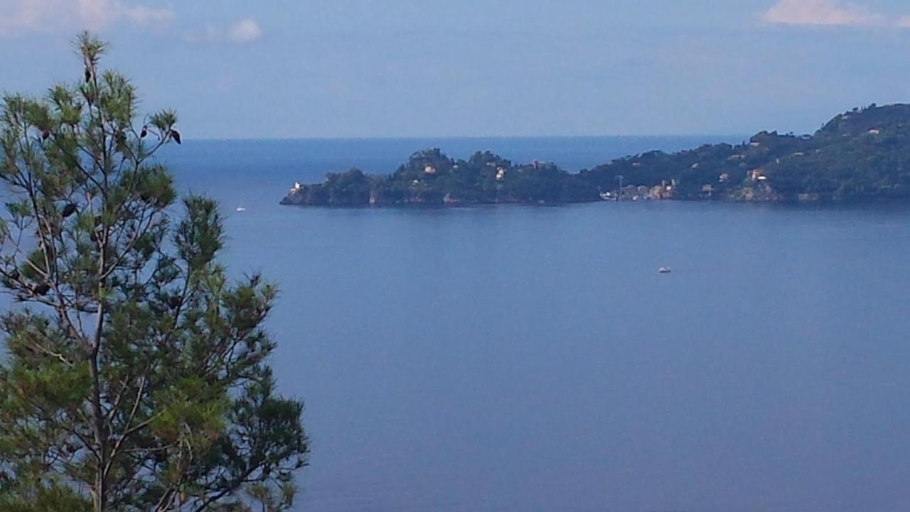 Mare E Vista Portofino - Sea And Portofino View ゾアーリ エクステリア 写真